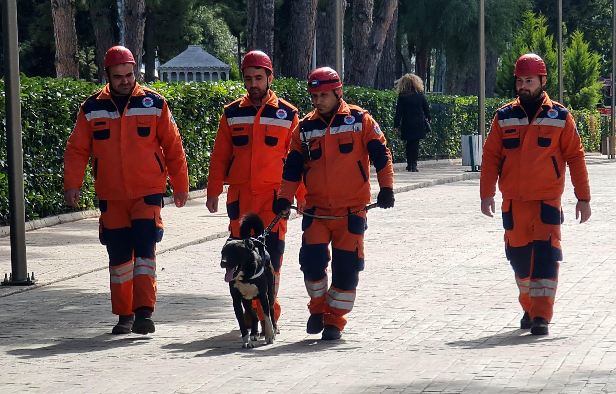 100445 depremzede kopek hayat yeni hayatlar kurtaracak 2