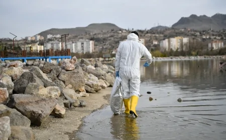 Mamak'ta Yaz Gelmeden Alarm Verildi: Haşereyle Mücadele Erken Başladı