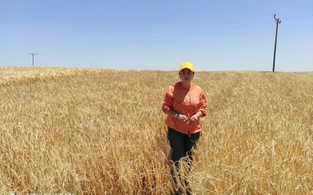 150 Milyonluk Vurgunla Suçlanan Sevgi Demir Coşkun: 'Kaçmadım, mağdur edildim