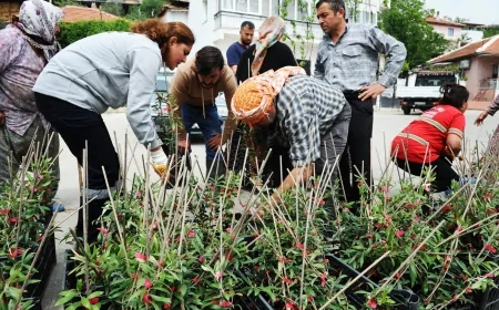 Karşıyaka Belediyesi’nden Sancaklı’da anlamlı dayanışma: Her haneye beş zeytin fidanı