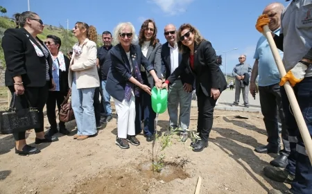 Karşıyaka’da 2200 Zeytin Fidanı Toprakla Buluştu: 'Yeşeren Umutlarımızın Simgesi Oldu'