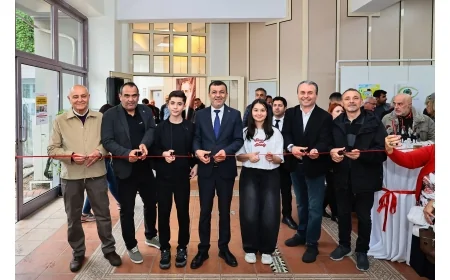 968 karikatür yarıştı, çevreye dikkat çeken eserler Denizli'de sergileniyor