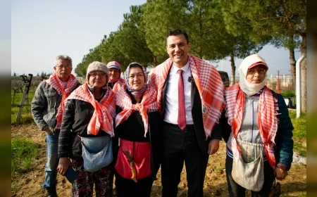 Manisa'da Zirai Don Mağdurlarına Yüzde 100 Hibe Gübre Desteği: Başvurular 30 Mayıs’a Uzatıldı