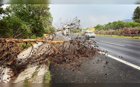 Akdeniz Bölgesi Fırtına ve Sağanak Yağışa Teslim