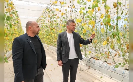 Buca’da sabotaj girişimine karşı toplu fide dikimiyle yanıt verilecek