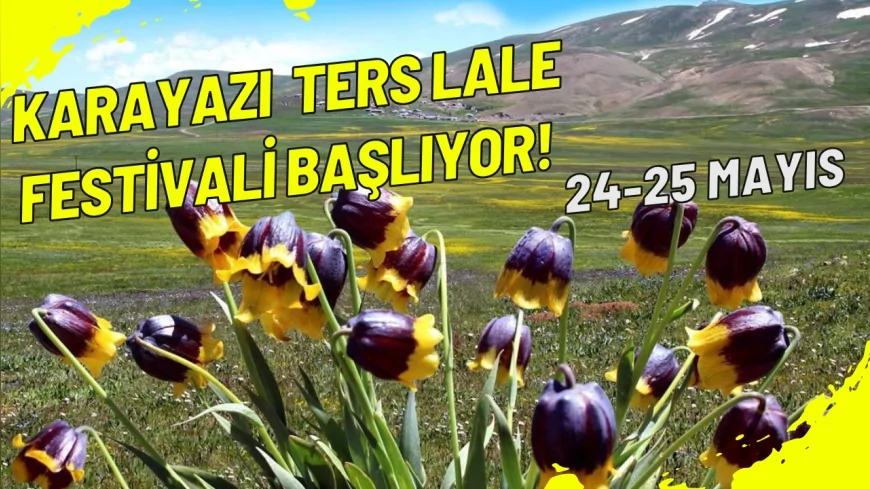 Karayazı Ters Lale Festivali Başlıyor: Dağların Eteğinde Kültür ve Doğanın Büyülü Buluşması