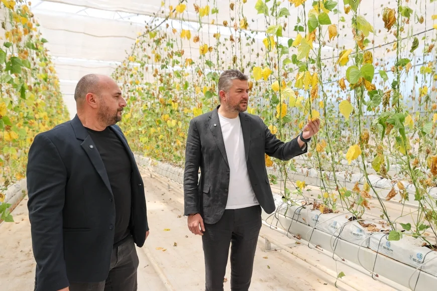 Buca’da sabotaj girişimine karşı toplu fide dikimiyle yanıt verilecek