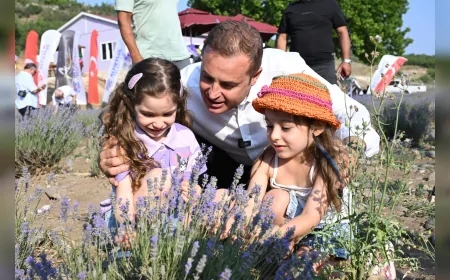 Balıkesir'de tarım ve turizm lavantayla buluştu: 'Görsel şölen her yıl daha fazla ilgi görüyor'