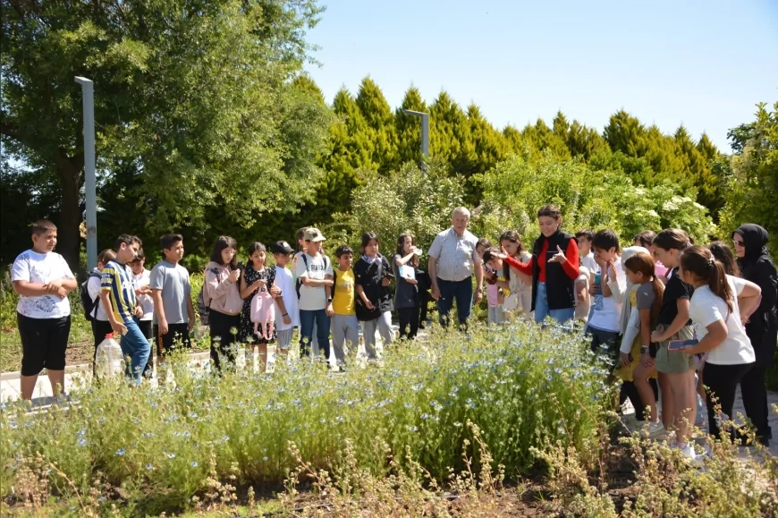 Balıkesirli öğrenciler BAÇEM’de bitkileri yakından tanıdı, dikim yaptı