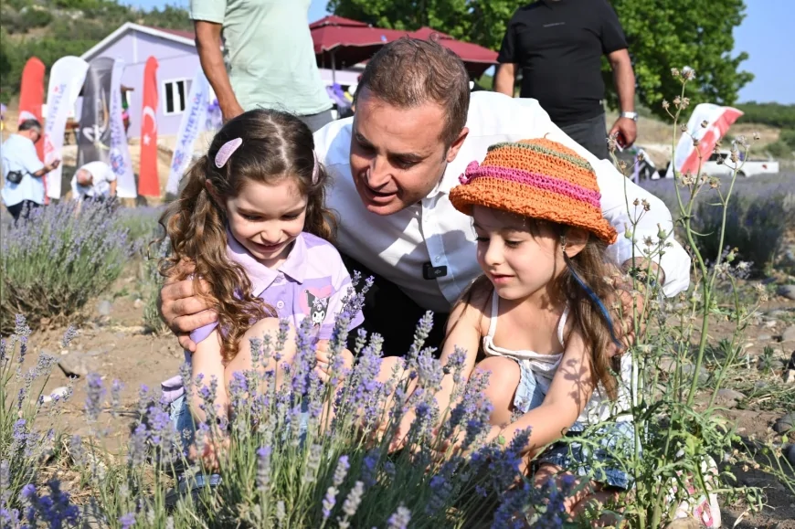 Balıkesir'de tarım ve turizm lavantayla buluştu: 'Görsel şölen her yıl daha fazla ilgi görüyor'