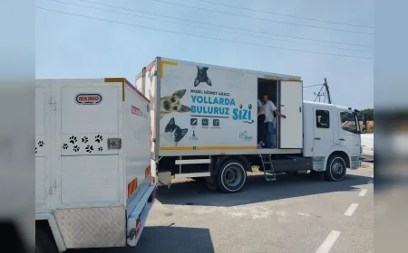 İzmir Büyükşehir, yangın bölgesindeki yüzlerce hayvanı kurtararak tedavi altına aldı