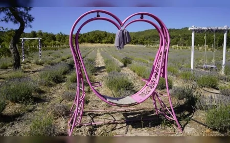 Manisa’da 7 Bin Metrekarelik Lavanta Bahçesi Ziyarete Açıldı