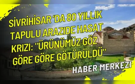 Sivrihisar’da 80 yıllık tapulu arazide hasat krizi: "Ürünümüz göz göre göre götürüldü"