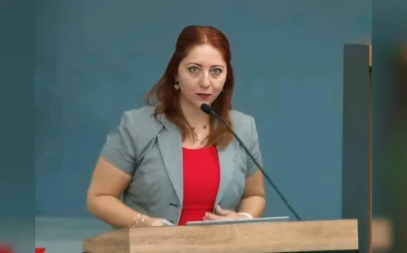 Zeytinliklerde madencilik tartışması sürerken Olivelo’daki doğa etkinlikleri artarak devam ediyor