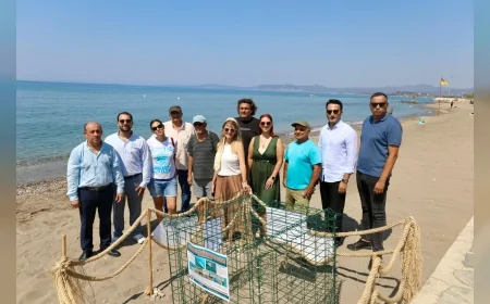 Gümüldür Sahilinde Caretta Caretta Yumurtlama Alanı Keşfedildi: Menderes’te Doğal Denge İçin Tarihi Bir İlk