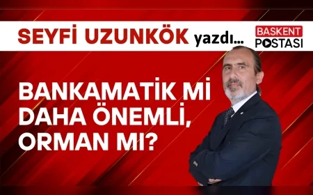 Bankamatik mi Daha Önemli, Orman mı?