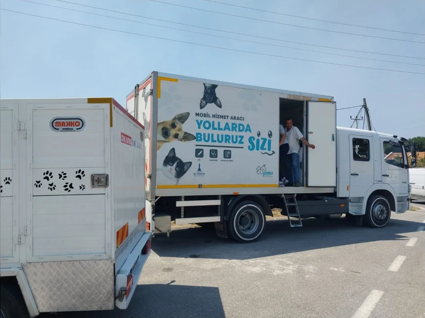 İzmir Büyükşehir, yangın bölgesindeki yüzlerce hayvanı kurtararak tedavi altına aldı