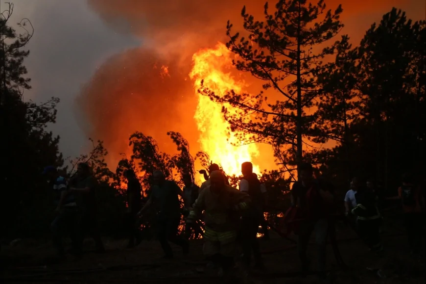 Ali Alemdaroğlu: “Ormanlar vatanın nefesidir”