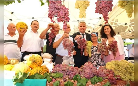Urla’da 2600 yıllık Bağ Bozumu geleneği kortej ve konserlerle kutlanacak