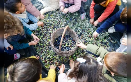 Seferihisar Belediyesi, sosyal belediyecilik çalışmalarına ara vermeden devam ediyor.