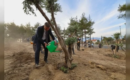 Burdur Belediye Başkanı Ali Orkun Ercengiz ve Meclis Üyeleri 80 Zeytin Ağacını Dikerek Ferdi Zeyrek’in Adını Ağaçlandırma Sahasında Yaşattı