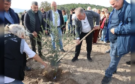 Zeytin Koleksiyon Bahçesi  Urla Belediyesi tarafından hayata geçirildi.