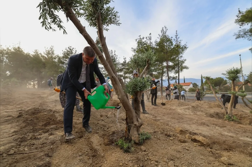 Burdur Belediye Başkanı Ali Orkun Ercengiz ve Meclis Üyeleri 80 Zeytin Ağacını Dikerek Ferdi Zeyrek’in Adını Ağaçlandırma Sahasında Yaşattı