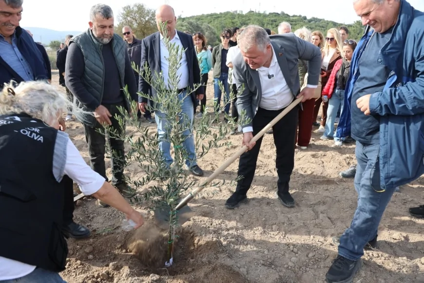 Zeytin Koleksiyon Bahçesi  Urla Belediyesi tarafından hayata geçirildi.