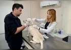 kedi ve köpeklerin 31 Aralık 2025 tarihine kadar mikroçip taktırılarak PETVET sistemine kaydedilmesi zorunludur.