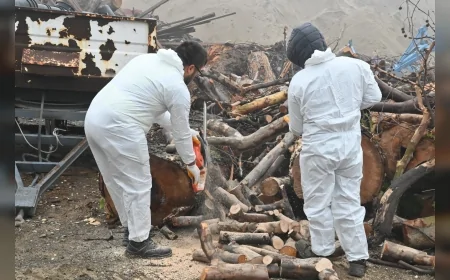 Manisa Büyükşehir Belediyesi Kış Başlangıcında Üç Mahallede Odun Dağıtımını Sürdürerek İhtiyaç Sahibi Ailelere Destek Sağlıyor