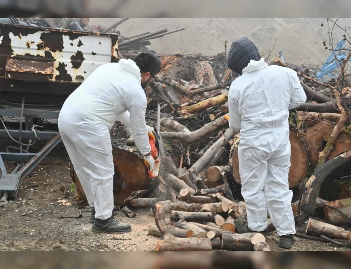 Manisa Büyükşehir Belediyesi Kış Başlangıcında Üç Mahallede Odun Dağıtımını Sürdürerek İhtiyaç Sahibi Ailelere Destek Sağlıyor