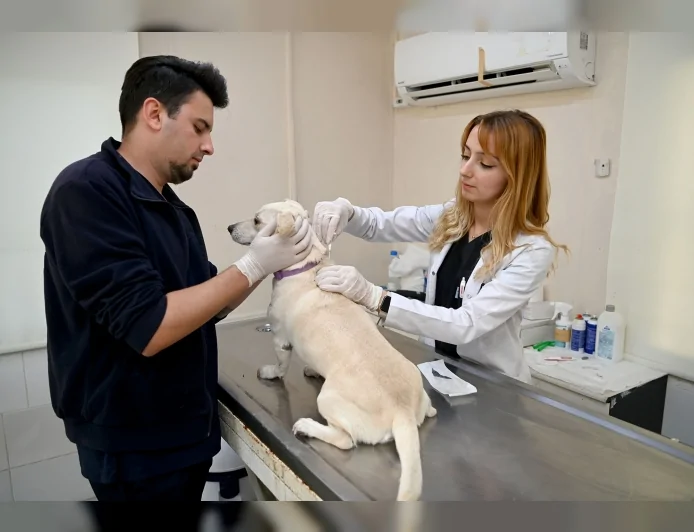 kedi ve köpeklerin 31 Aralık 2025 tarihine kadar mikroçip taktırılarak PETVET sistemine kaydedilmesi zorunludur.