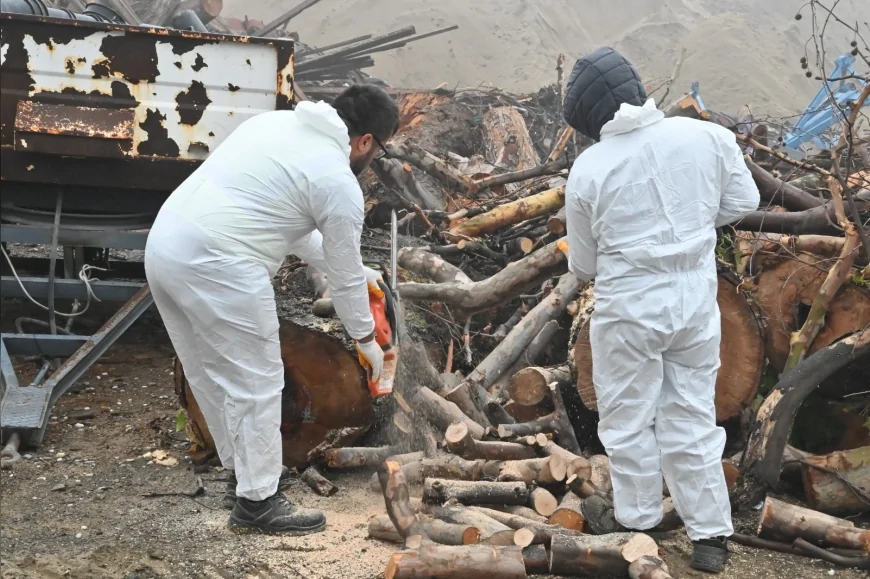 Manisa Büyükşehir Belediyesi Kış Başlangıcında Üç Mahallede Odun Dağıtımını Sürdürerek İhtiyaç Sahibi Ailelere Destek Sağlıyor