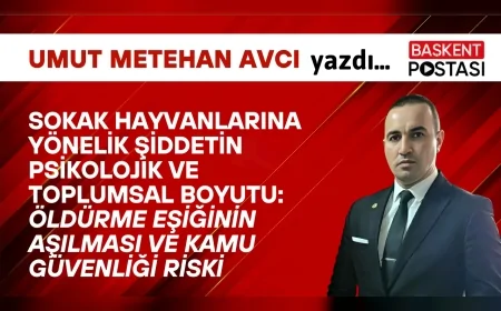 SOKAK HAYVANLARINA YÖNELİK ŞİDDETİN PSİKOLOJİK VE TOPLUMSAL BOYUTU: ÖLDÜRME EŞİĞİNİN AŞILMASI VE KAMU GÜVENLİĞİ RİSKİ
