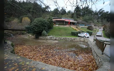 Yunusemre Belediyesi’nin Yeni Sosyal Alanı Gençlik Kafe Kısa Sürede Gençlerin Buluşma Noktası Oldu