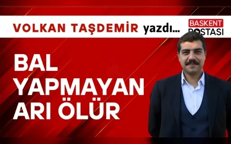 BAL YAPMAYAN ARI ÖLÜR