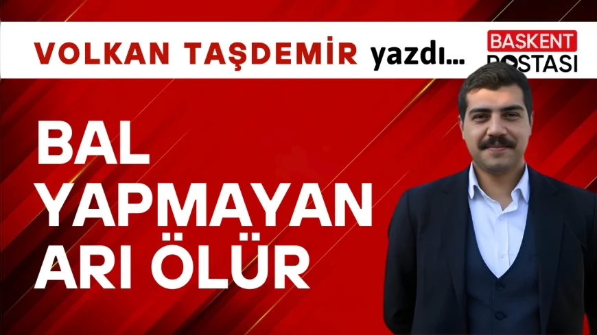 BAL YAPMAYAN ARI ÖLÜR