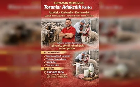 Adıyaman’da Adaklık Kurban Nerede Alınır: Torunlar Adakçılık Günlük Taze Hayvan ve Kesim Hizmeti Sunuyor