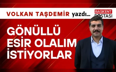 Gönüllü Esir Olalım İstiyorlar