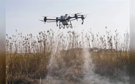 “Sivrisinek ve zararlılara karşı yıl boyu dron ve amfibik destekli mücadele.