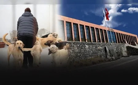 Foça Belediyesi: Bağarası’nda Saldırgan Köpek Müdahalesine Engel Olanlar Hakkında Süreç Başlatıldı