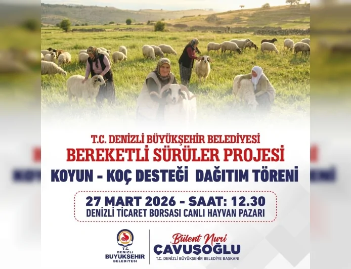 582 üreticiye toplam 1200 damızlık koyun ve koç teslim edilecek.