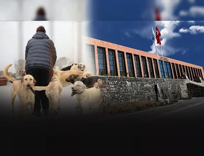 Foça Belediyesi: Bağarası’nda Saldırgan Köpek Müdahalesine Engel Olanlar Hakkında Süreç Başlatıldı