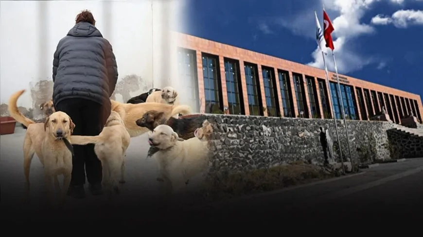 Foça Belediyesi: Bağarası’nda Saldırgan Köpek Müdahalesine Engel Olanlar Hakkında Süreç Başlatıldı