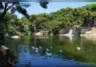 Manisa’nın Akhisar ilçesine 14 kilometre uzaklıkta bulunan Zeytinliova Mahallesi.