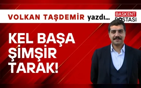 Kel Başa Şimşir Tarak!