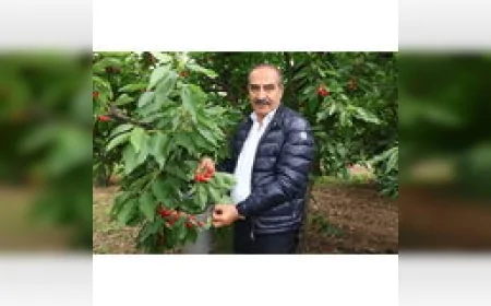Ege Yaş Meyve Sebze İhracatçıları Birliği Başkanı Hayrettin Uçak: “2026’da kiraz ihracatında 200 milyon doları hedefliyoruz”