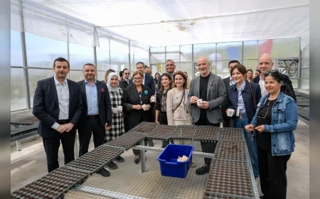 İzmir Büyükşehir Belediyesi İklim Dayanıklılığı Projesiyle Mahallelerde Direnci Artırıyor