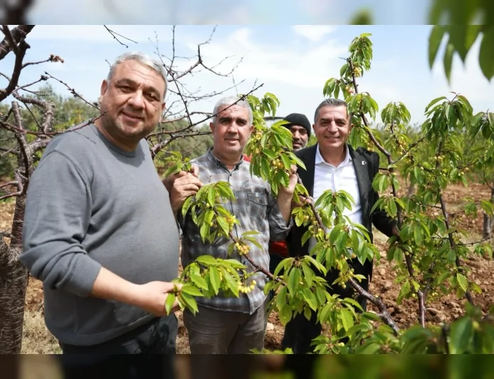 Şehzadeler Belediye Başkanı Hakan Şimşek kiraz hasadı öncesi üreticilerle sahada buluştu