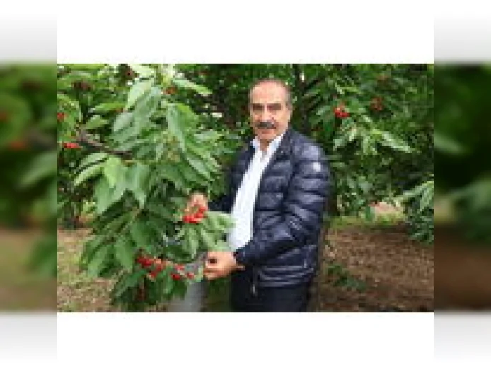 Ege Yaş Meyve Sebze İhracatçıları Birliği Başkanı Hayrettin Uçak: “2026’da kiraz ihracatında 200 milyon doları hedefliyoruz”